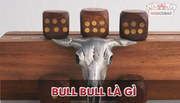 Bull Bull là gì